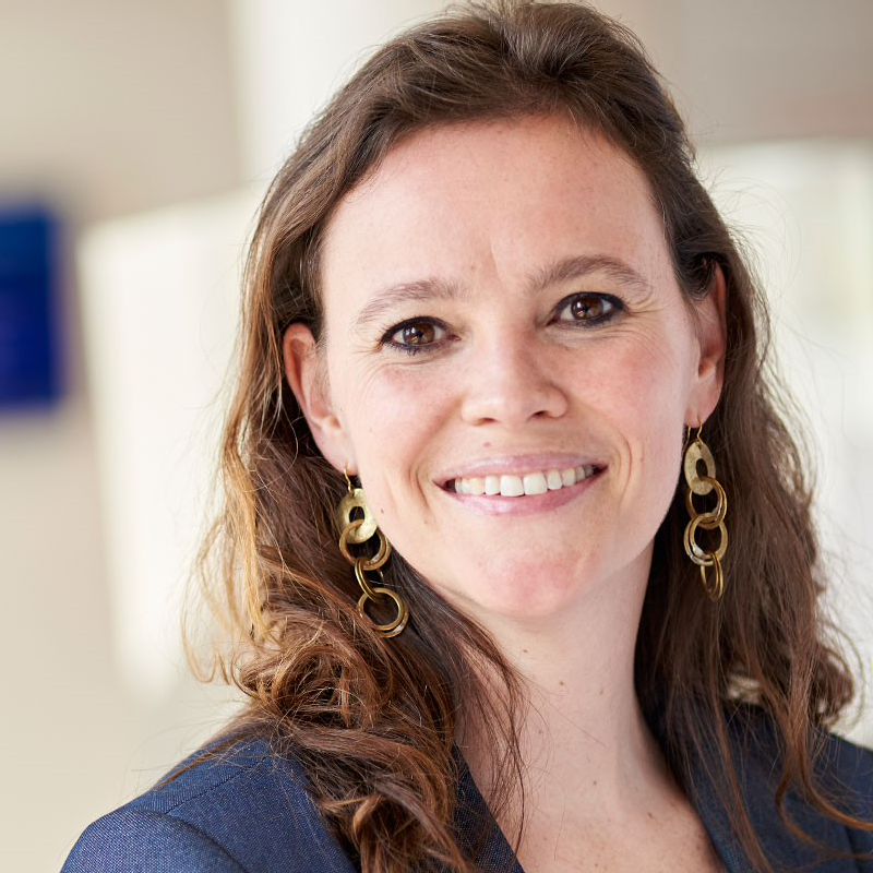 Johanneke de Lint